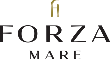 Forza hotels